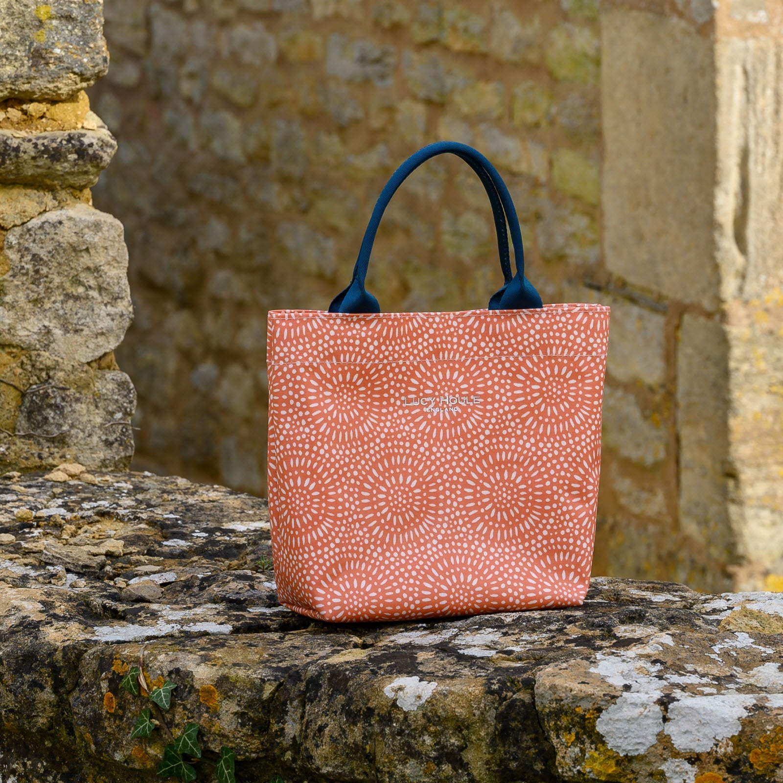 Mini tote hot sale