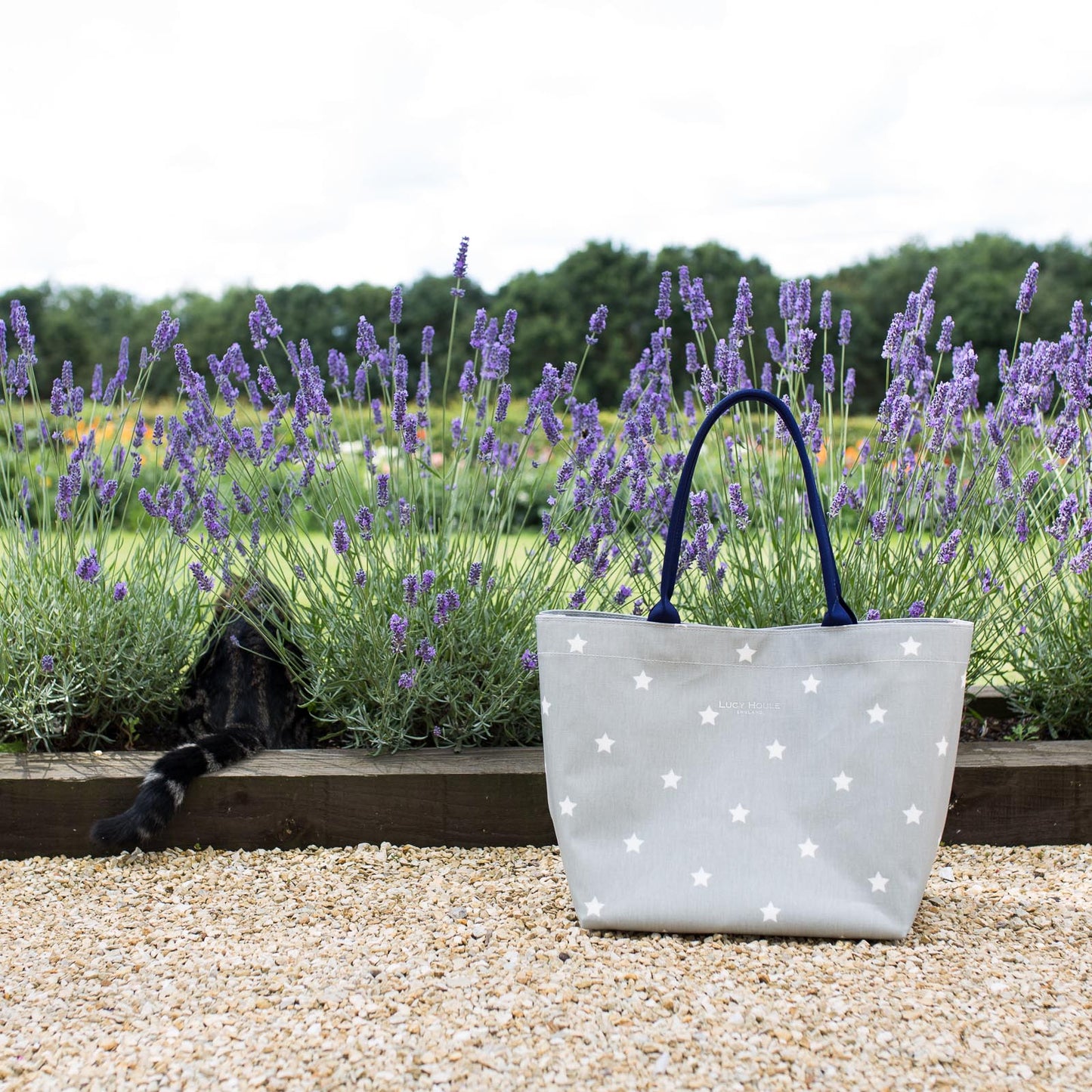 Grey & White Star Medium Tote Bag with Navy Handles